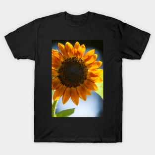 Reach for the Sky T-Shirt